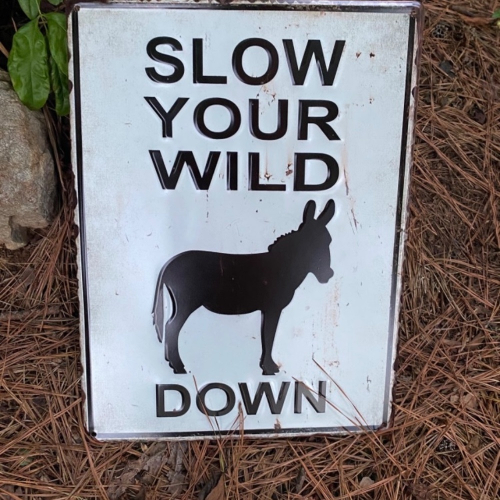 Whimsical Tin Sign- Slow your Wild A** Down - Picture 2 of 2